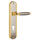 SAFEPLUS LEVER HANDLE W/PLATE GP