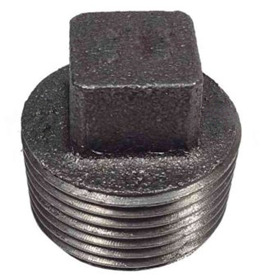 BLACK PLUG 21/2"