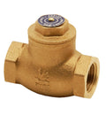 NON RETURN VALVE 1" PEGLER