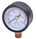 PRESSURE GAUGE 10BAR 50MM
